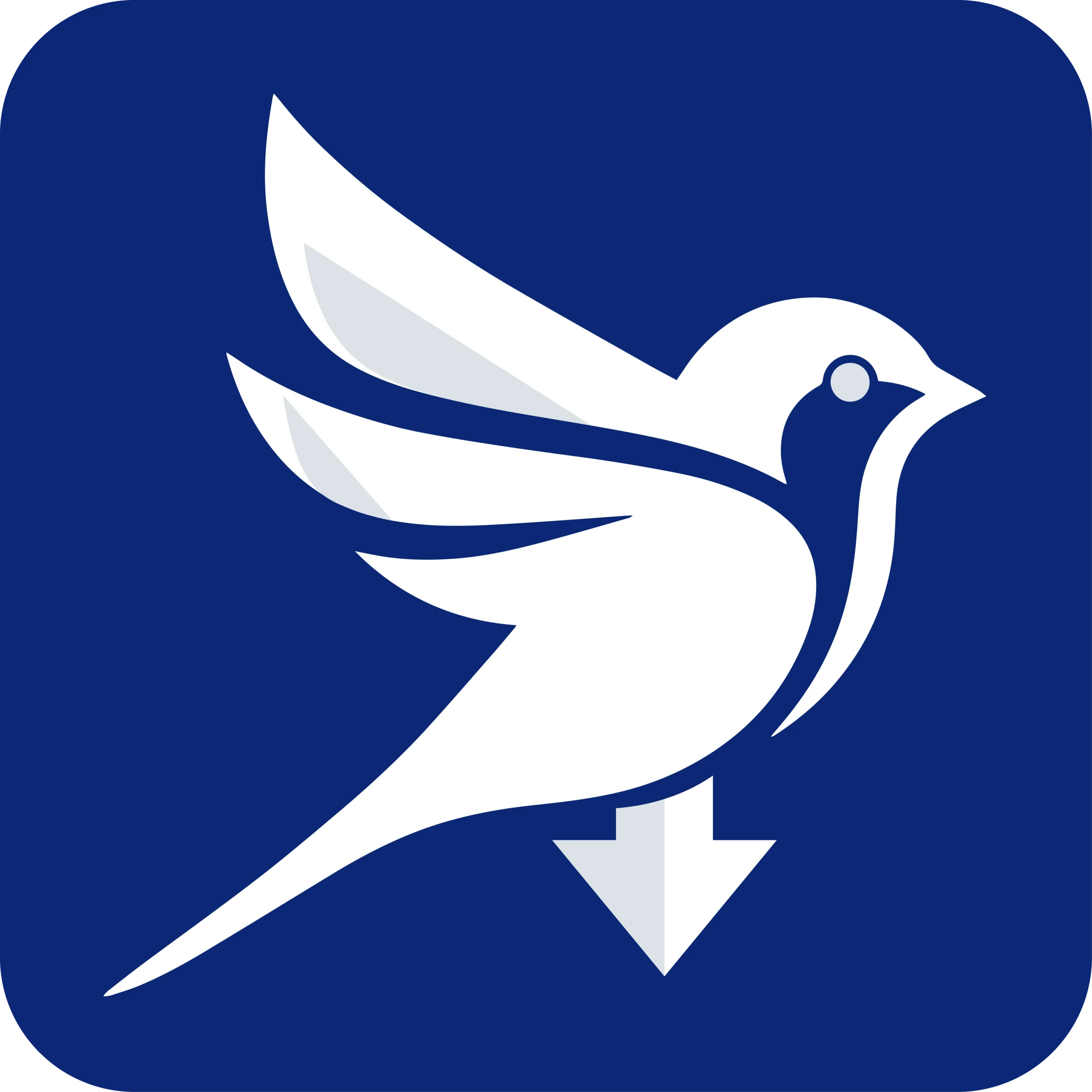 sparow